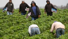 New Laws Protect Undocumented Workers From Retaliation